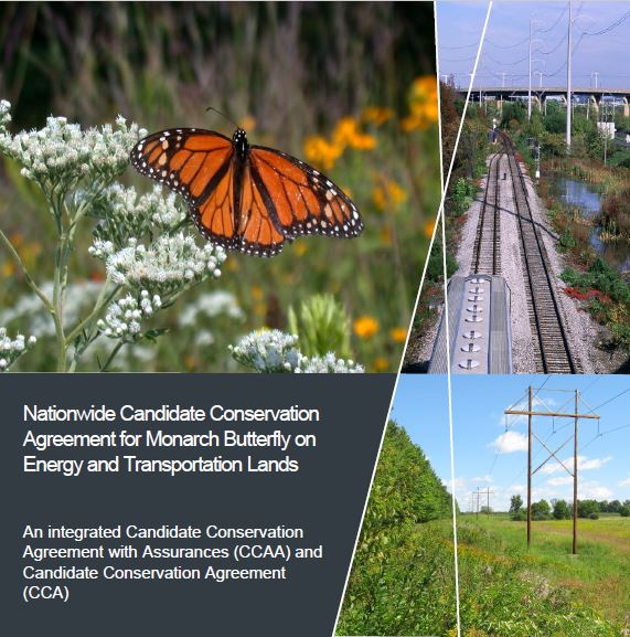 Cover of Nationwide Candidate Conservation Agreement for Monarch Butterfly on Energy and Transportation Lands