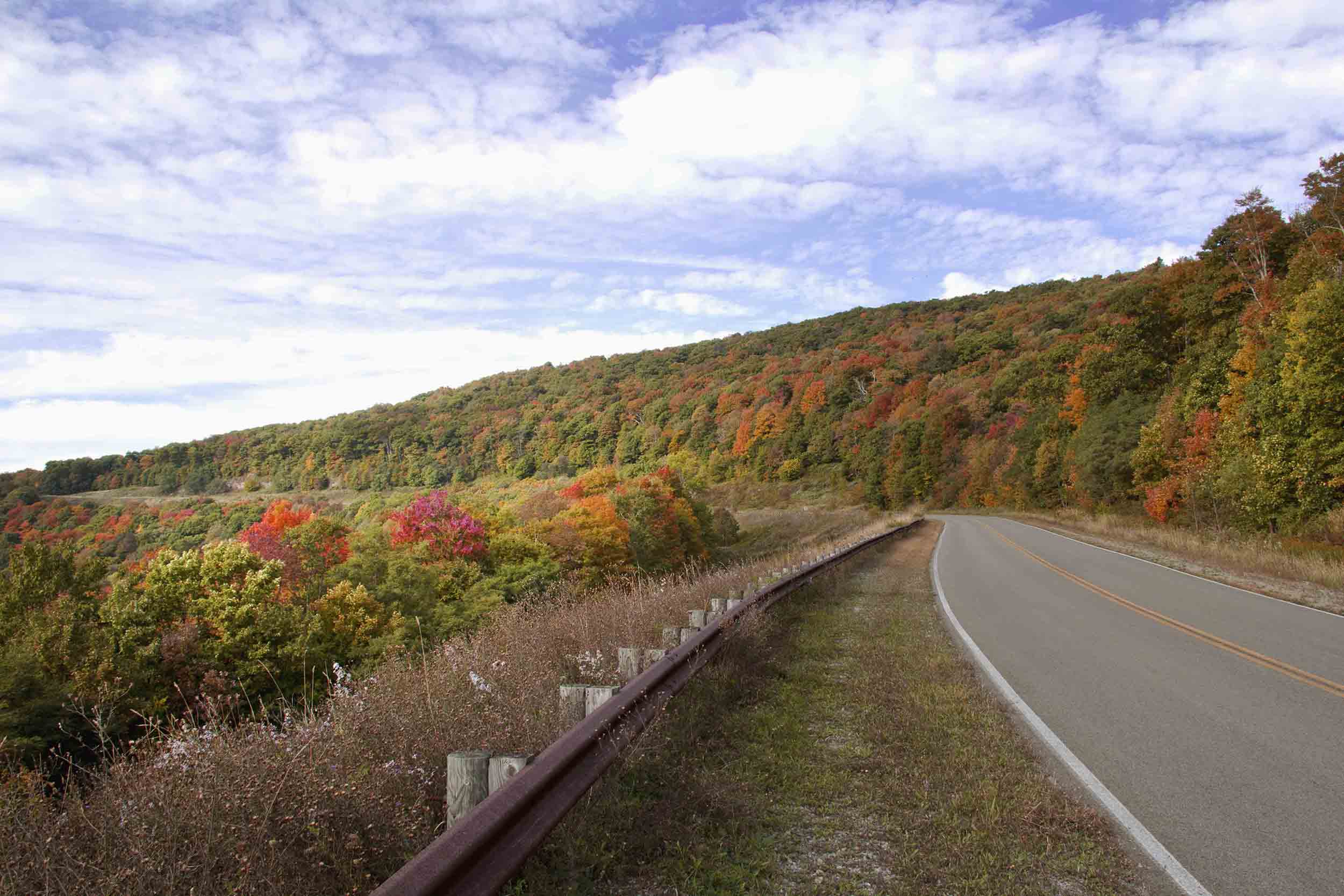 Fall foliage along scenic route
