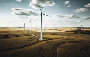 Wind turbines in field