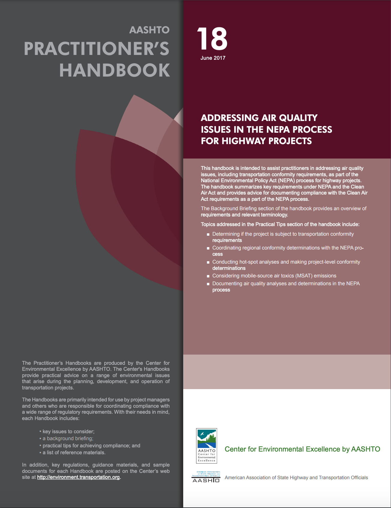 Cover of practitioner handbook