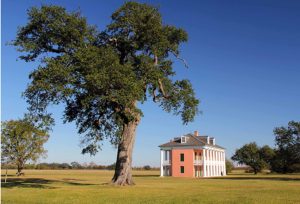 Historic home in field.