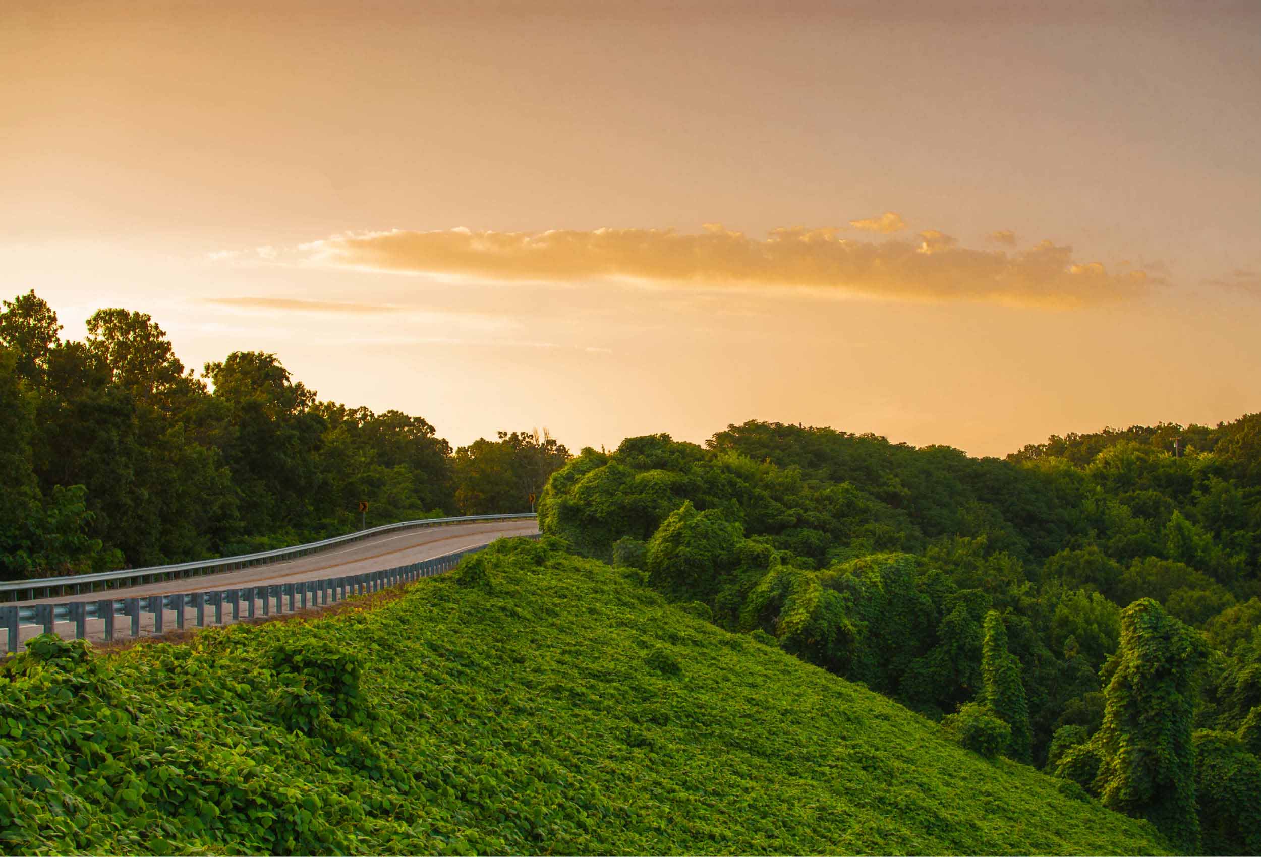 view of rural road at sunset