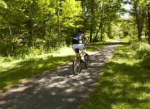 Person biking along nature trail