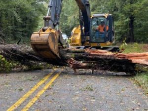 Construction equipment removing tree from blocking road