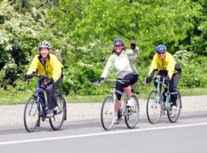 Bicyclists along road