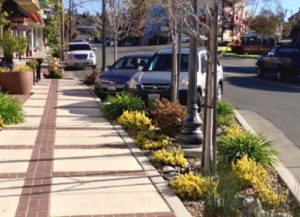 Parking spaces alongside sidewalk and greenspace