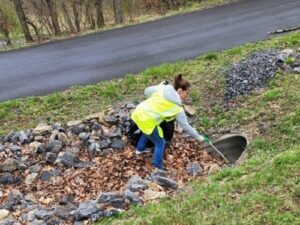 Person picking up litter off the side of the road.